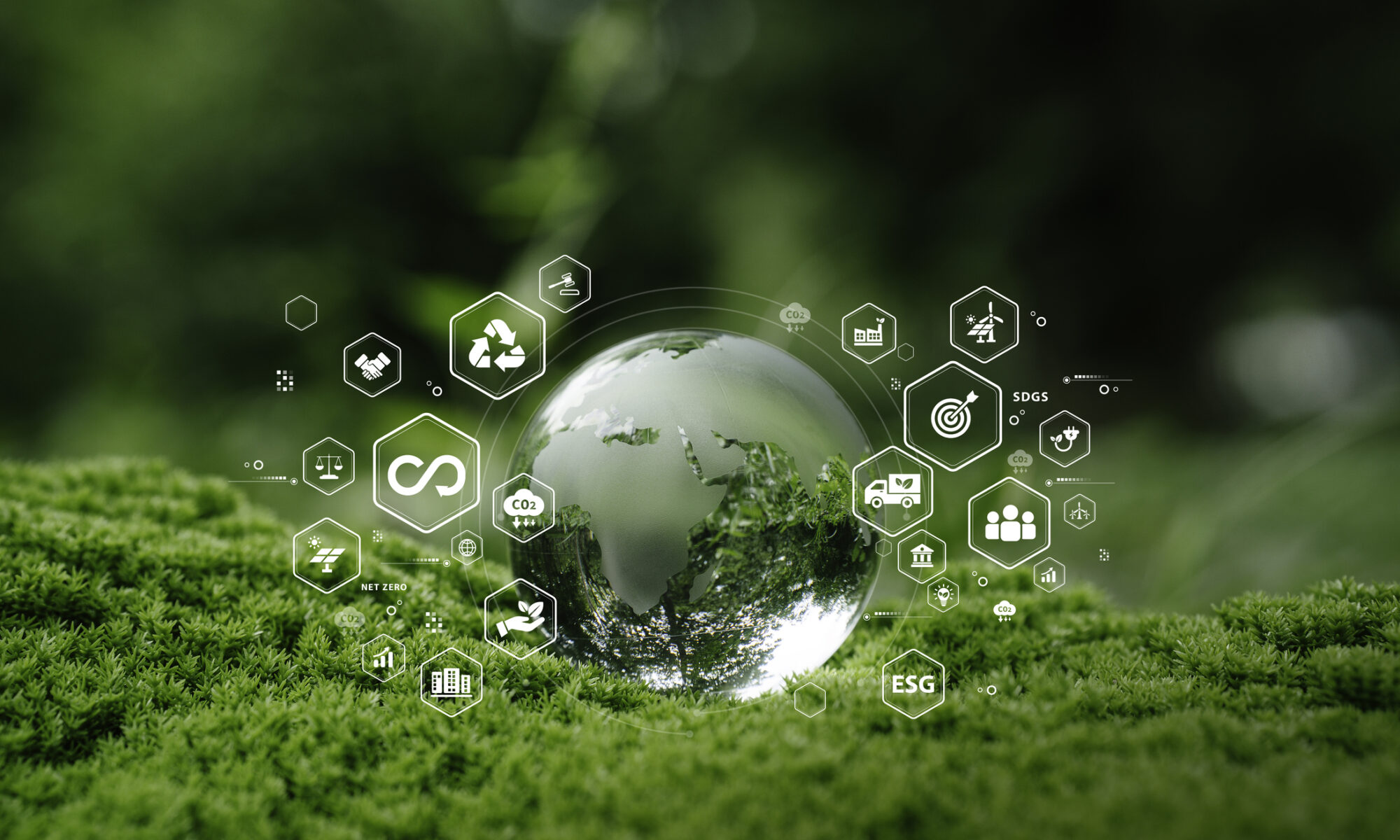 Crystal globe glass on green in forest with icon of Sustainable Development, green business, circular economy, supply chain, . renewable energy, carbon emission to net zero. Earth Day, and ESG concept